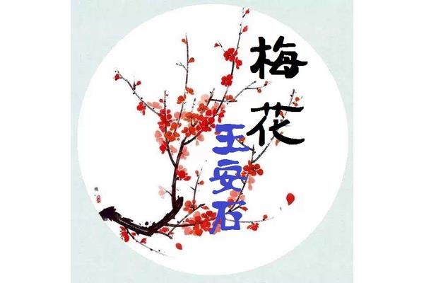 王安石的梅花