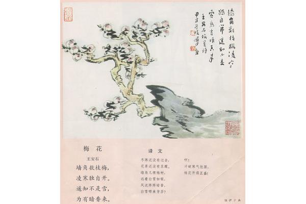 古诗咏梅王安石