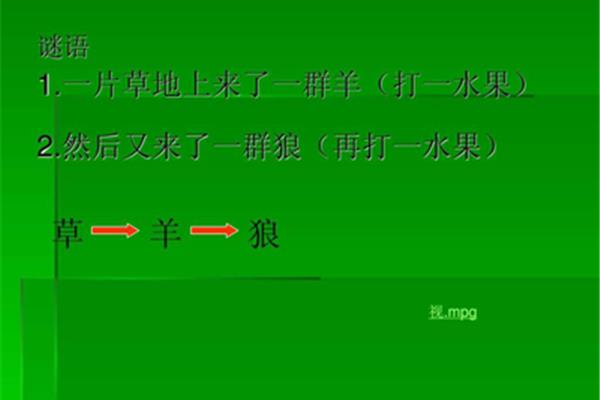 羊来了打一水果