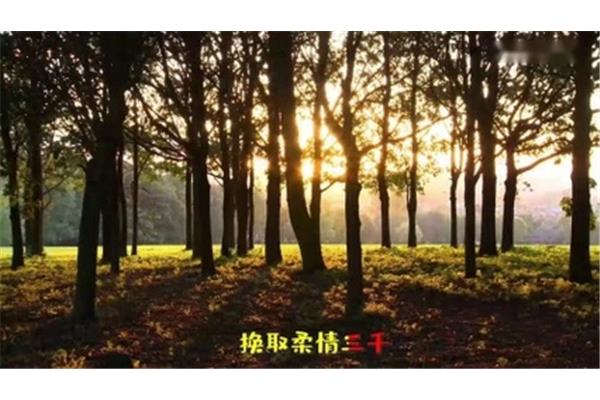 有梦不觉夜漫长