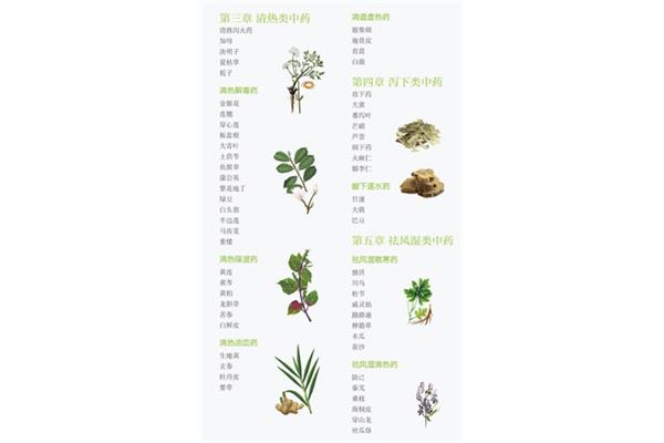 中药基础知识