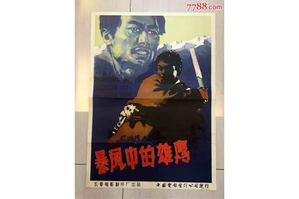 暴风中的雄鹰