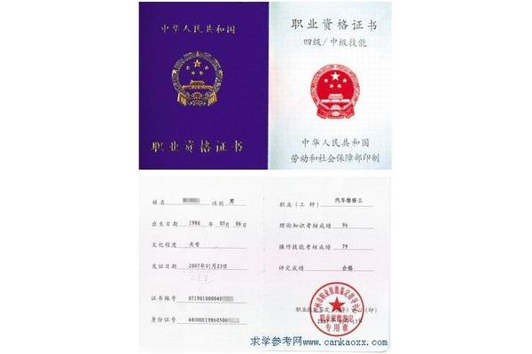 上大专有用吗