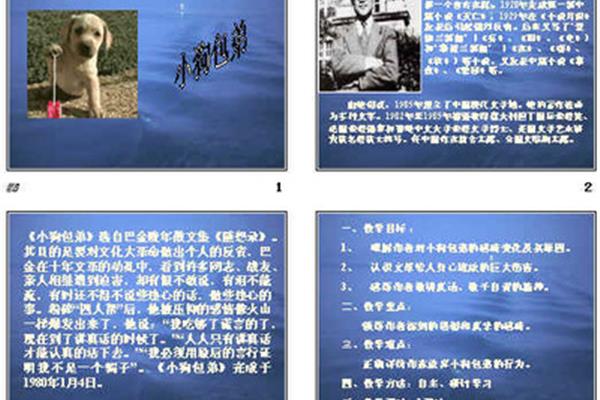 小狗包弟原文