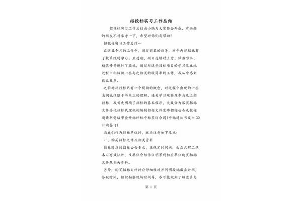 招投标工作总结