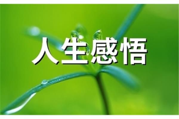 致自己人生感悟