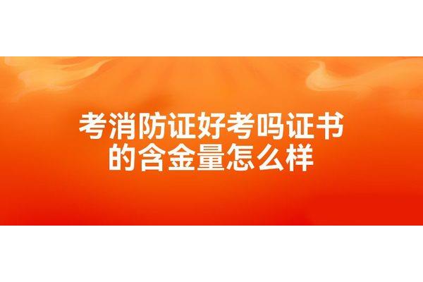 消防证好考吗