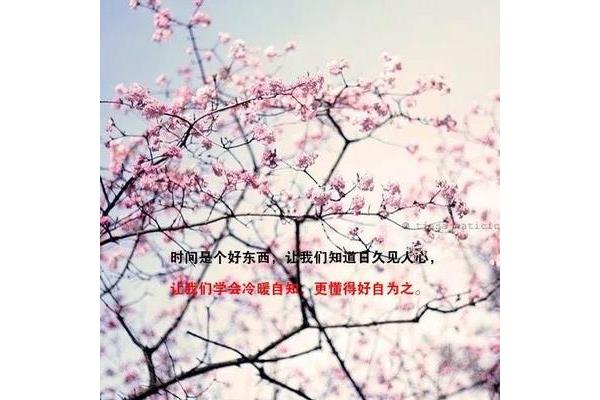 致自己人生感悟