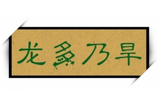 龙的四字成语
