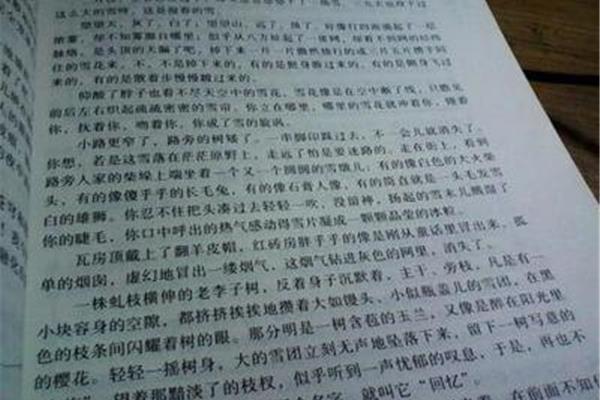 关于景色的作文