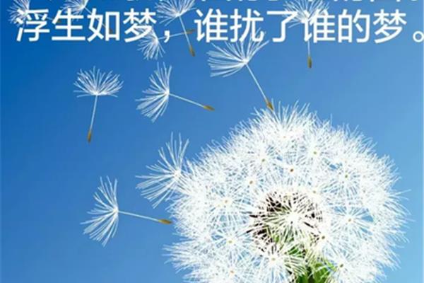 致自己人生感悟
