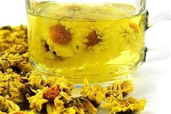 菊花的作用与功效