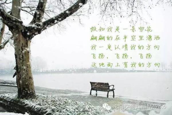 雪花的快乐朗诵