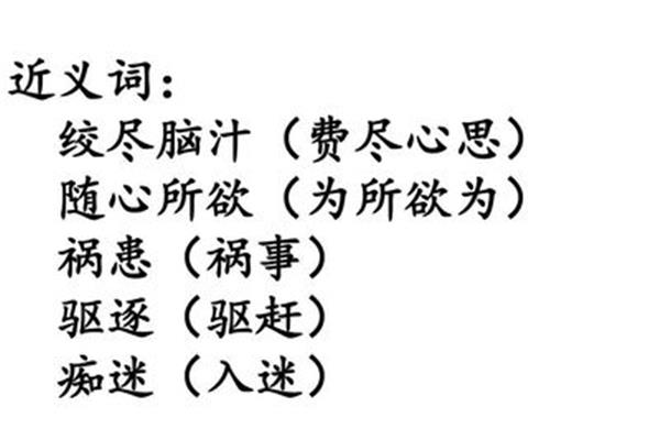随心所欲的近义词