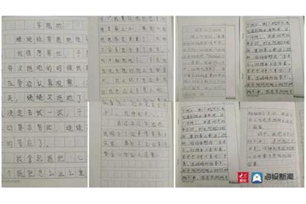 做家务日记50字