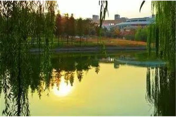 中国矿业大学地址