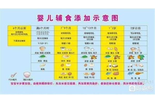 六个月辅食