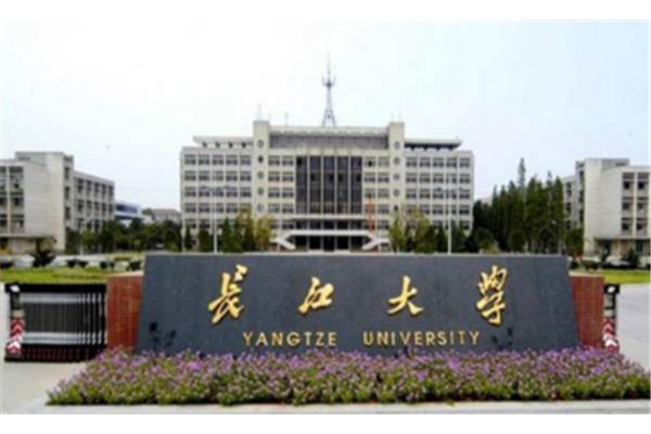 长江大学是几本
