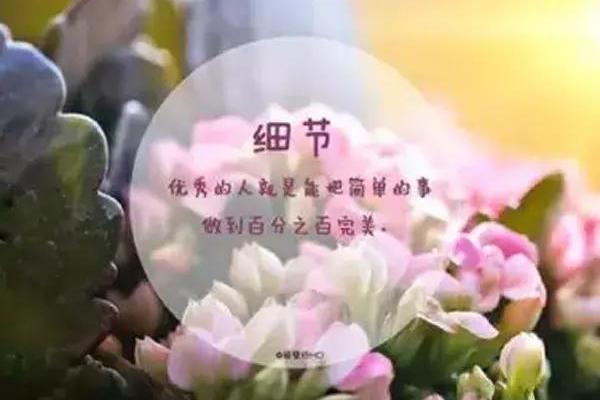 每日心灵鸡汤