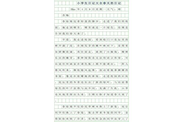 小学生日记格式