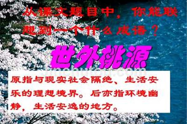 桃花的成语