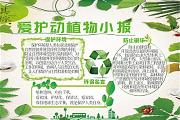 保护地球的名言