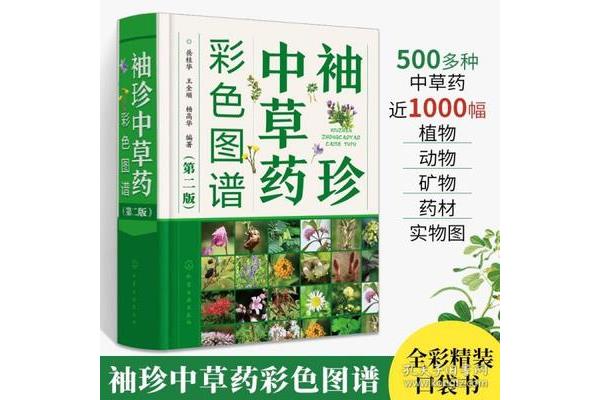 中药基础知识