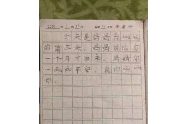 做家务日记50字