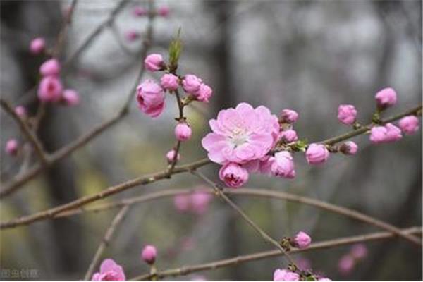什么的春意