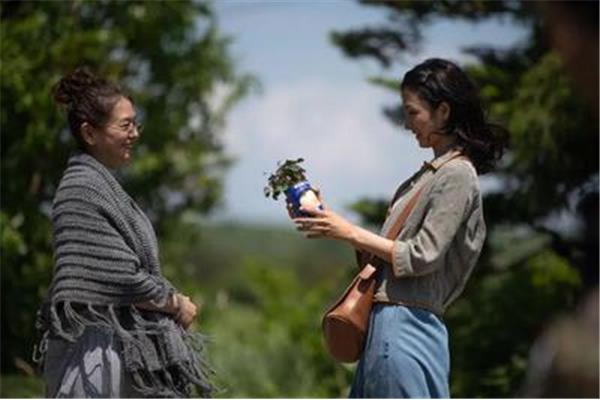 夫妻拼车电影