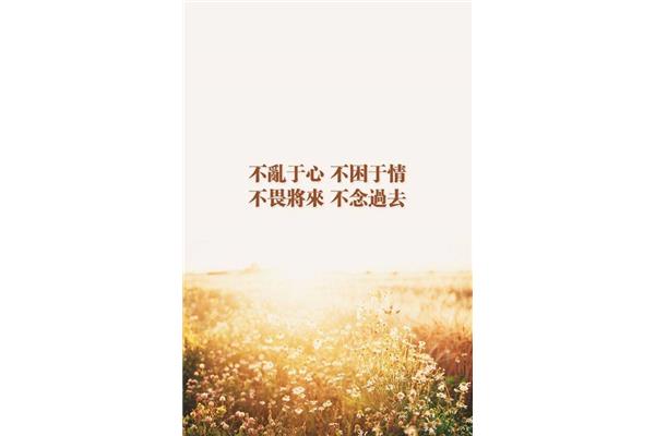 迷茫的青春