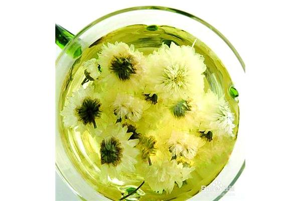 菊花的作用与功效
