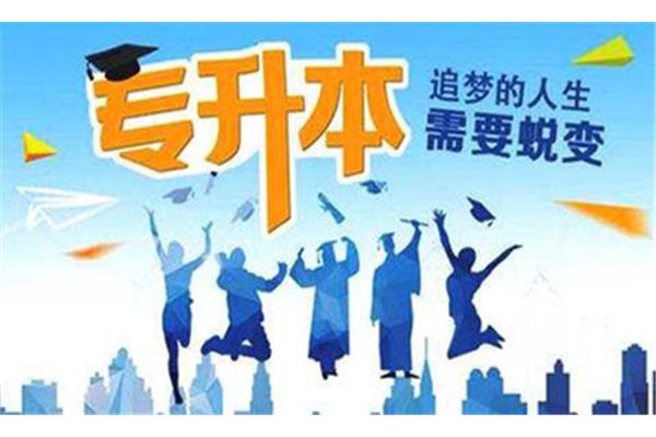 应届本科毕业生