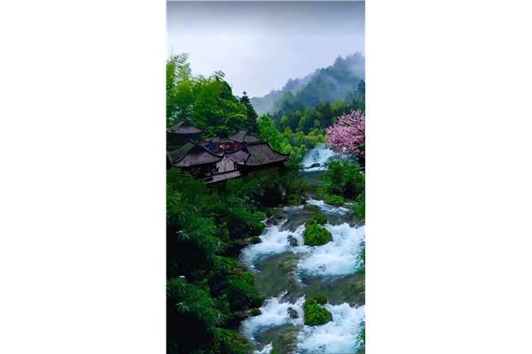 这里风景独好