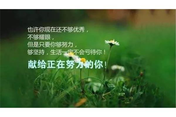 致自己人生感悟