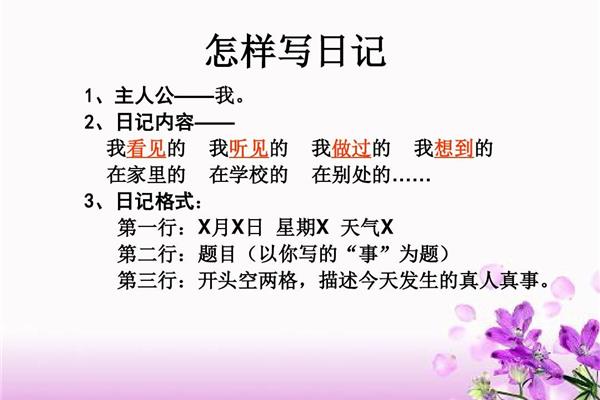 小学生日记格式