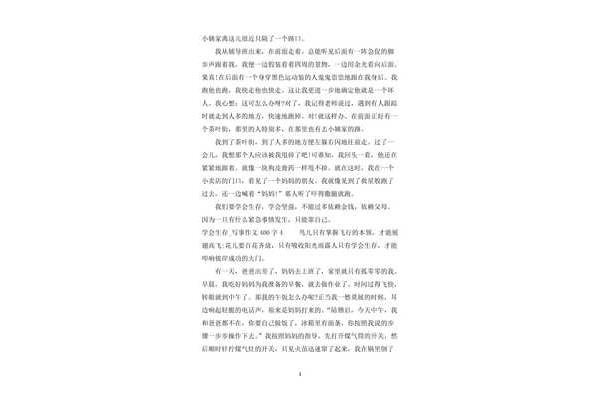 写事作文400字