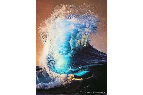 一朵美丽的浪花