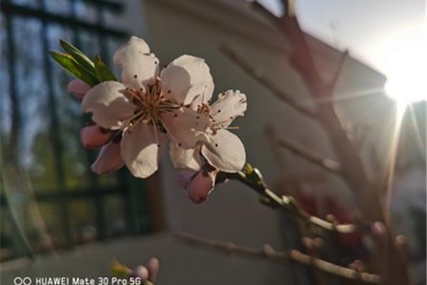春雨丝丝润万物