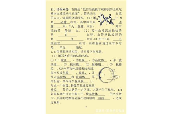 多得什么填空