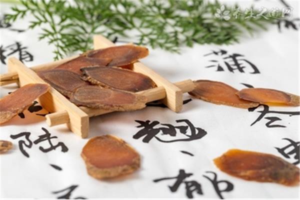 壮阳的中药有哪些