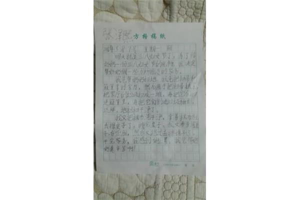 做家务日记50字