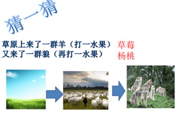 羊来了打一水果