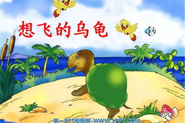 会飞的乌龟