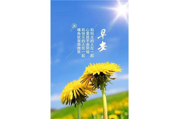 每日心灵鸡汤