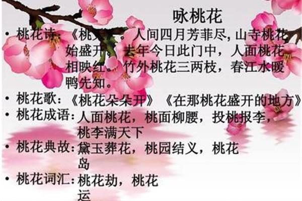 桃花的成语