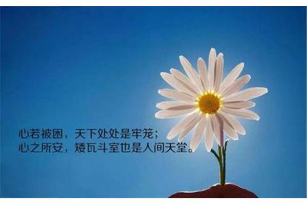 每日心灵鸡汤