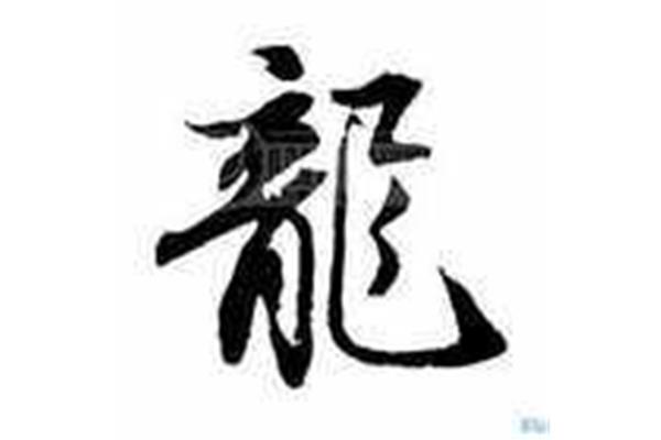 龙的四字成语