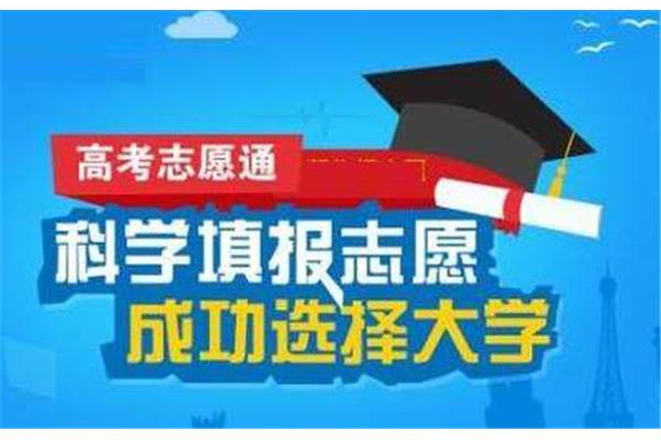 高考填报志愿