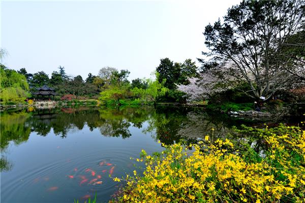 春天的景色图片